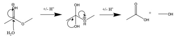 Hydrolysis Mechanism Example Diagram